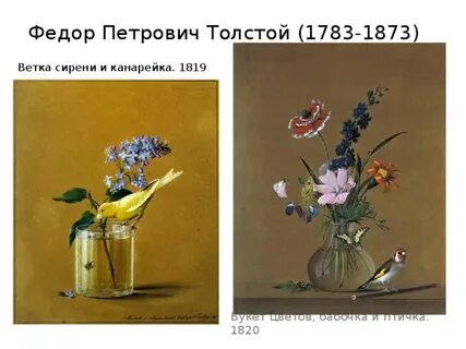 Жизнь ф толстой
