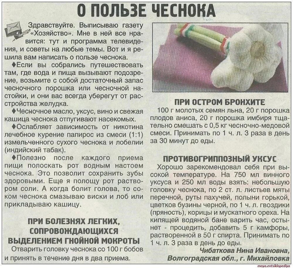 Для чего используют чеснок. Чеснок польза. чем полезен чеснок. полезность чеснока. полезен чеснок для.организма.