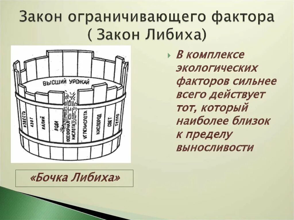 Закон минимума в экологии. Закон Либиха закон минимума. Бочка Либиха и лимитирующие факторы. Закон минимума Юстуса Либиха. Биология бочка Либиха.