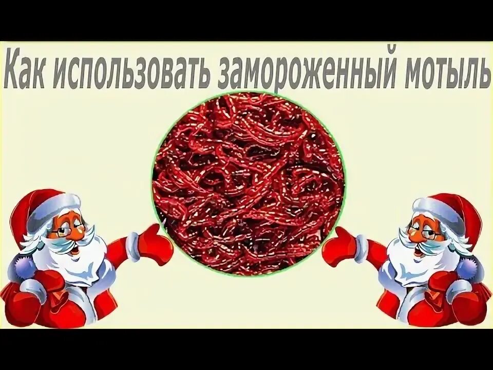 Как кормить замороженным мотылем