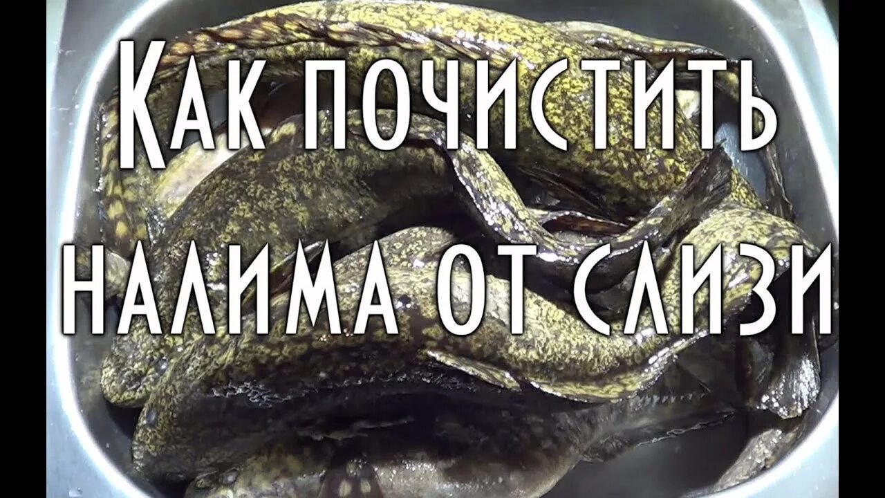 Как почистить налима. Почистить налима от слизи.