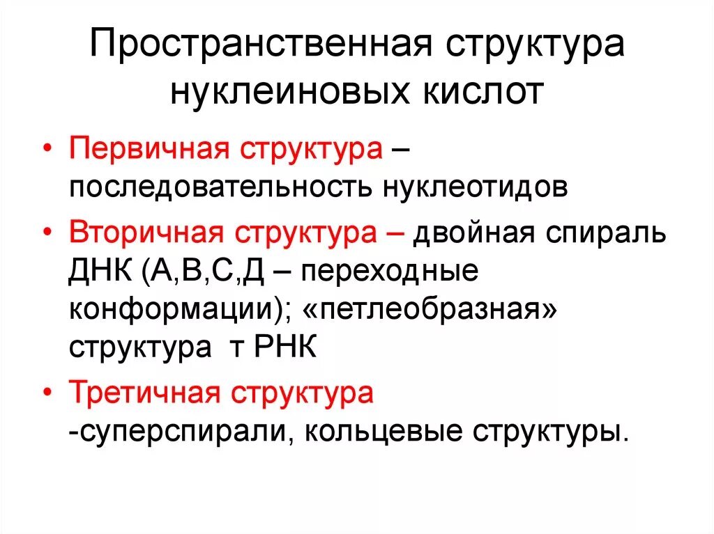 Нуклеиновые кислоты уровень