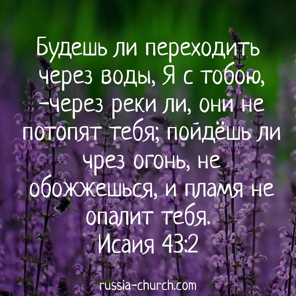 Слова из библии картинки. Стихи из Библии. Христианские стихи из Библии. Христианские цитаты из Библии. Христианские стихи из биббиблии.