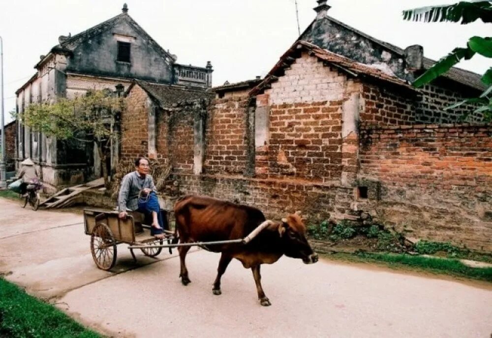 Local village. ЛЭМ Вьетнам. Милай Вьетнамская деревня. Ancient Village. Вьетнам деревня Менлайн.