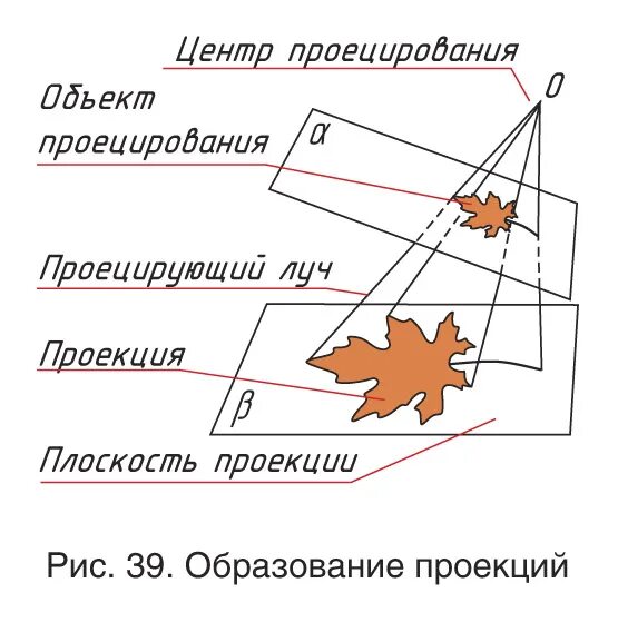 Примеры проекции из жизни Зигмунд Фрейд о природе бессознательного и его проявлениях