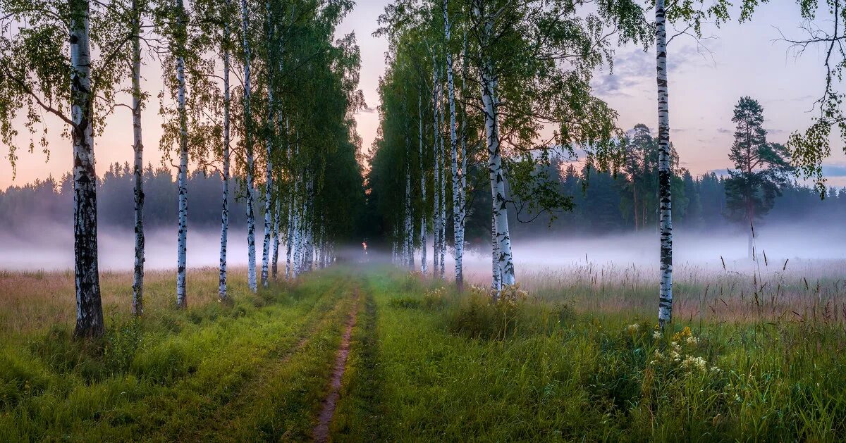 красоты горного алтая. река полянка калужская область. горный алтай красота природы. край непременно. край земли в россии.