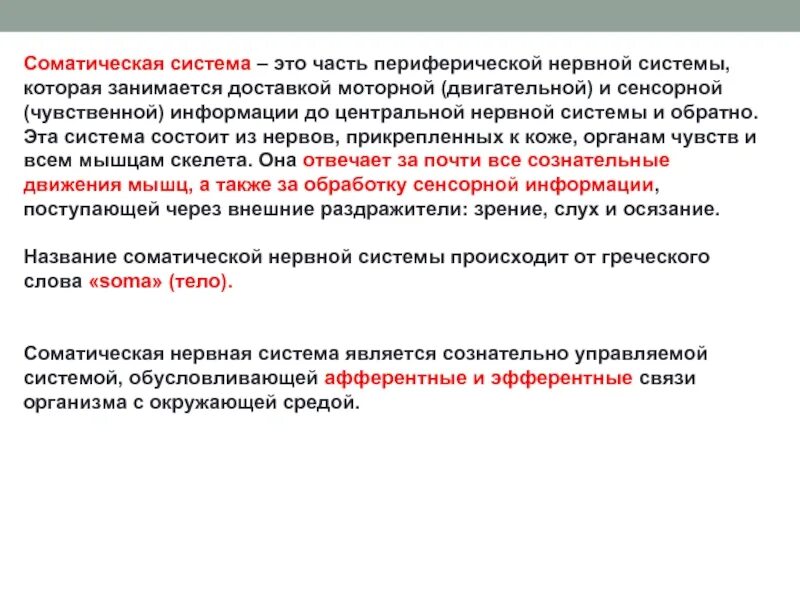 Функции соматической системы