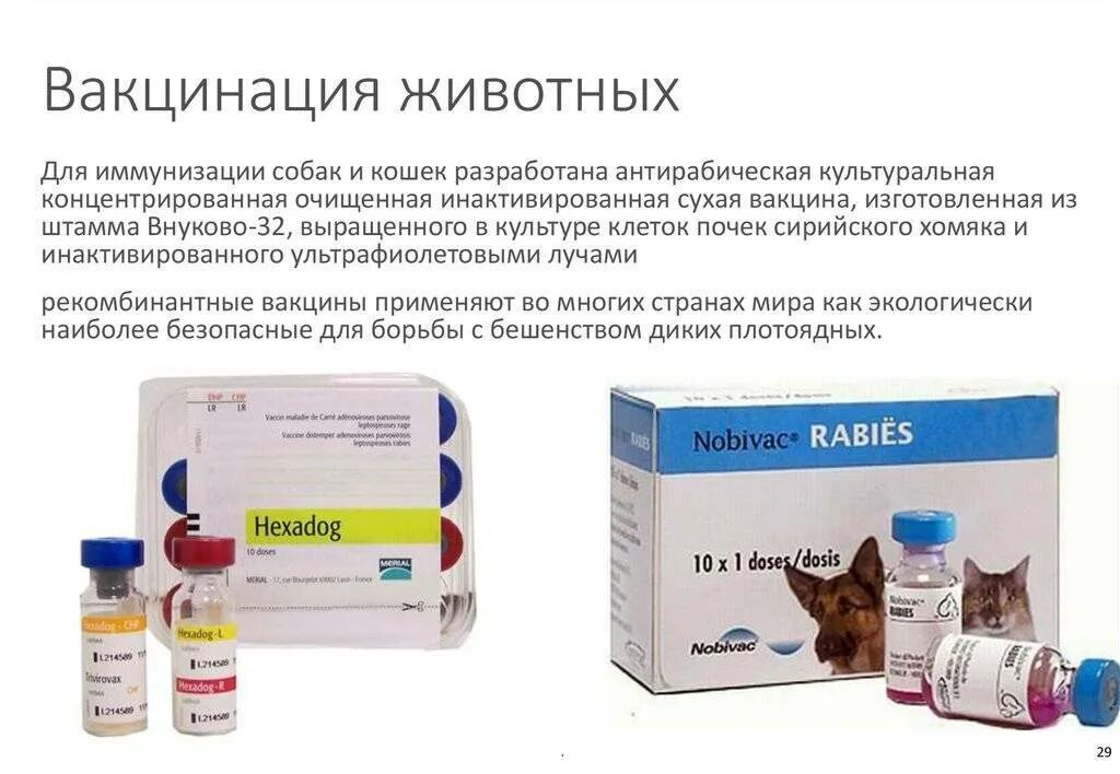 Российская вакцина для кошек. Вакцины для животных. Вакцины для собак и кошек. Иммунизация животных. Российские вакцины для животных.