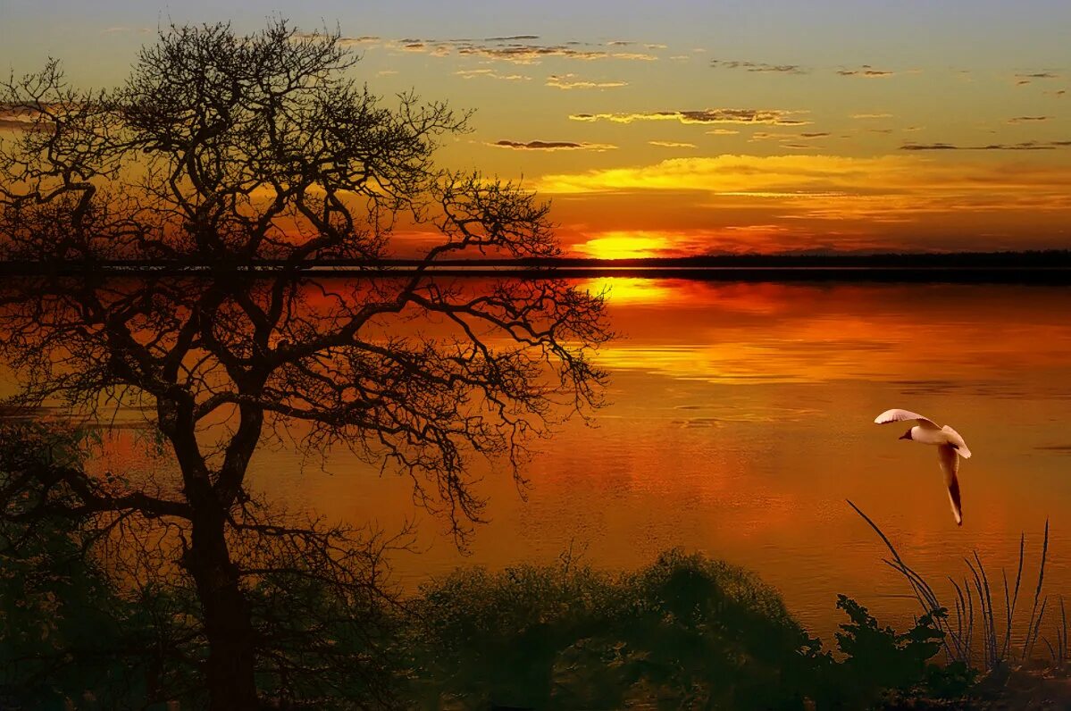 есенин зорька. рассвет солнца. лето солнце. есенин солнца луч. весенний рассвет.