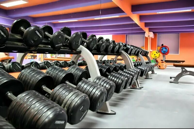 Фитнес империя коммунальная 20 зал. Фитнес империя петрозаводск. Империя фитнеса печатники. Фитнес империя кей петрозаводск. Фитнес империя петрозаводск бассейн.