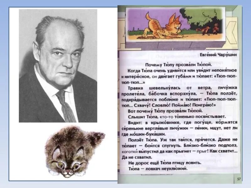 Текст е чарушина друзья. Чарушин тюпа и томка. почему тюпу прозвали тюпой. рассказ чарушина тюпа.