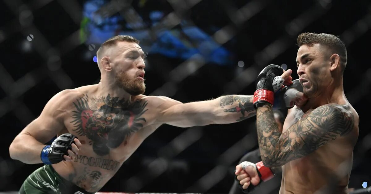 дом у дороги 2024 конор макгрегор. бой юфс конор порье бой. последний бой макгрегора 2024. макгрегор сейчас 2024. дастин порье конор.