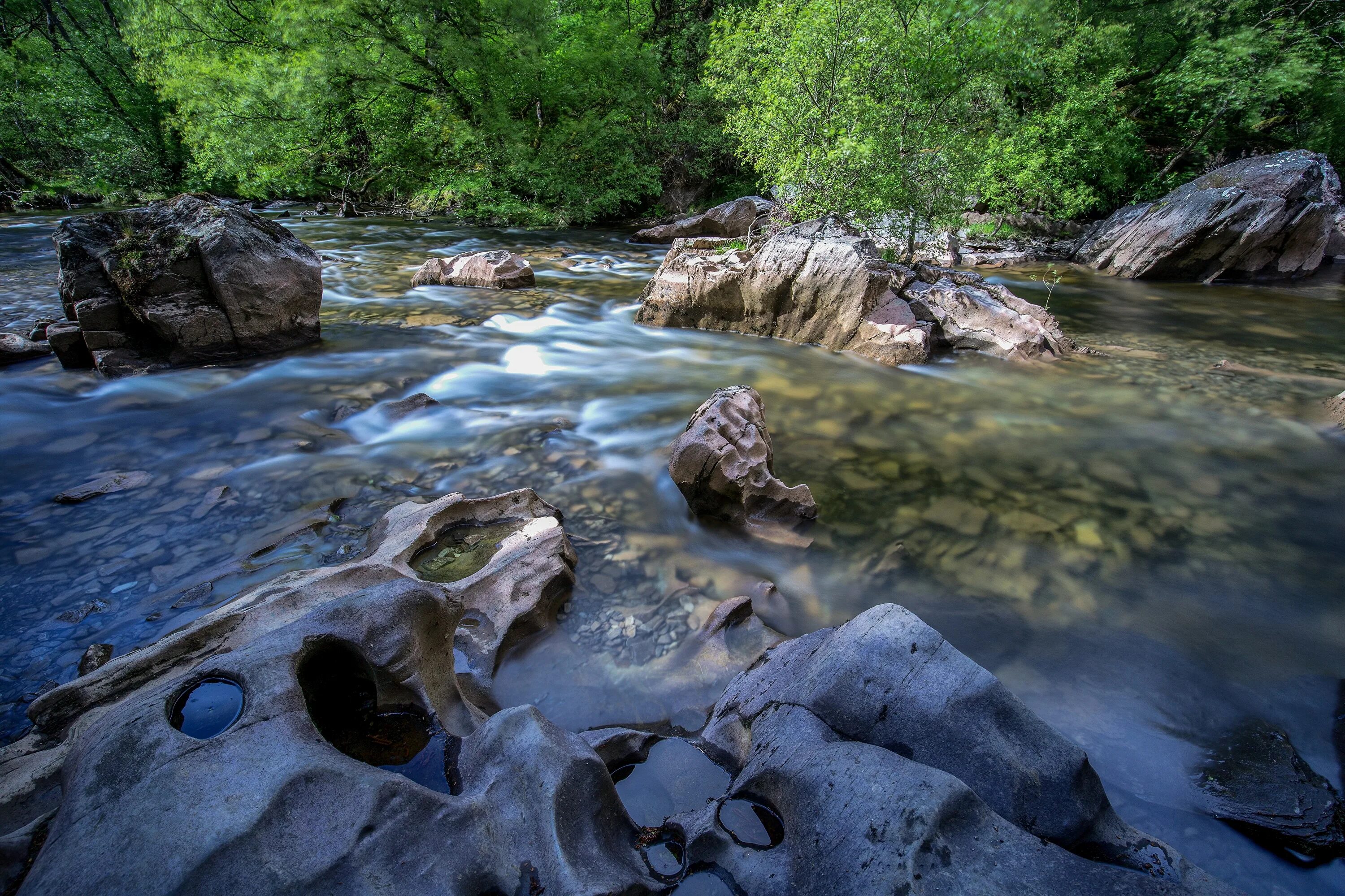 Stone river. Сноудония лес. Леса парка Сноудония. Сноудония реки. Уэльский лес.