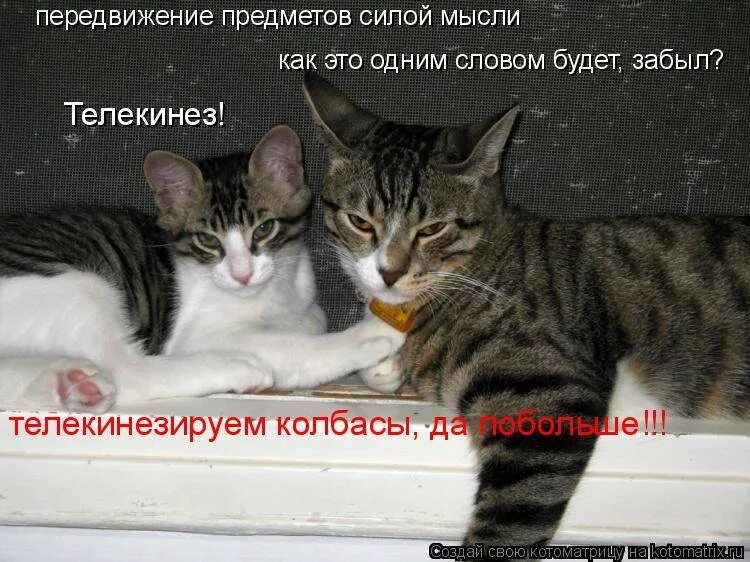 Как научится двигать предметы мыслями. Передвижение предметов силой мысли. двигать предметы силой мысли. как передвигать предметы силой мысли. передвигать вещи силой мысли.