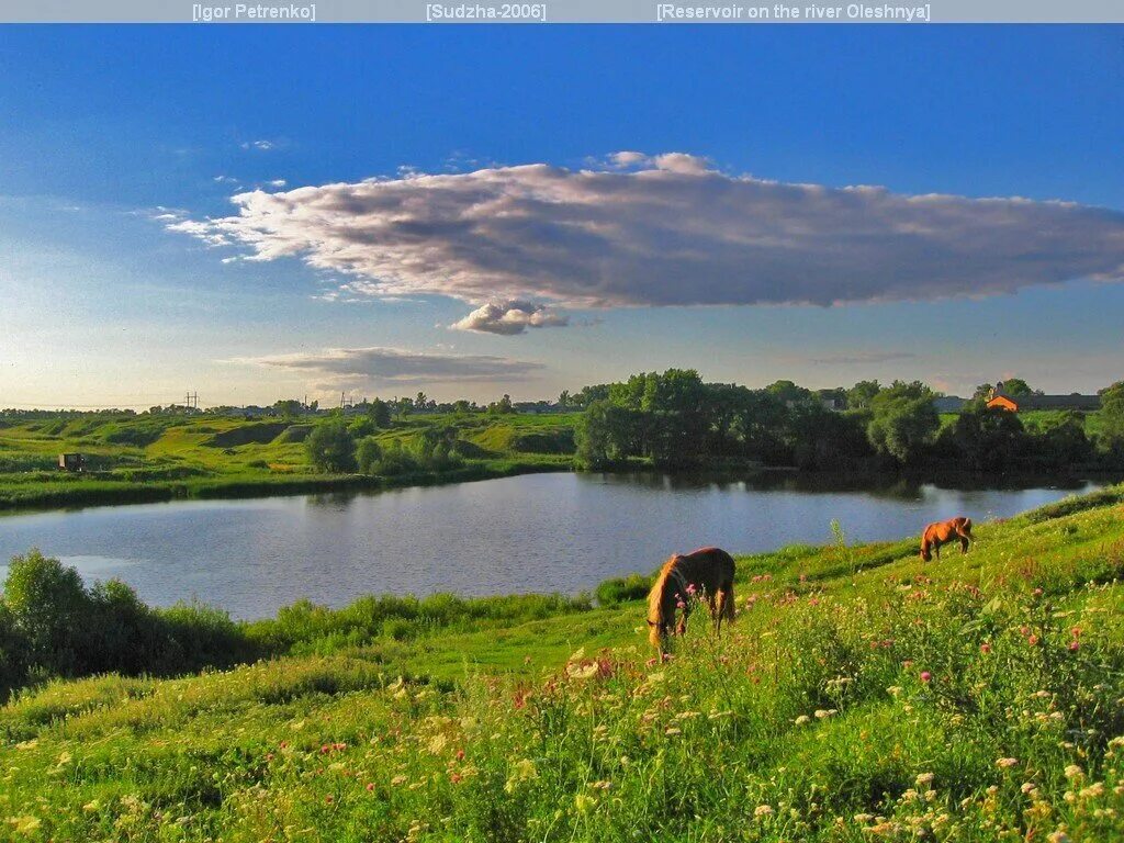 Доброе курская область. Суджа Курская область природа. Горналь Курская область река. Река Суджа Курской области. Курск Курская область летний пейзаж.