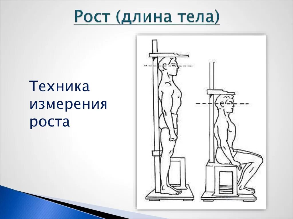 Измерение роста ребенка. Как измерить рост. Измерение роста пациента. Измерить или измерять рост. Антропометрическое антропометрические исследования.