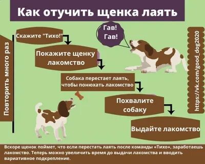 Как научить собаку гавкать