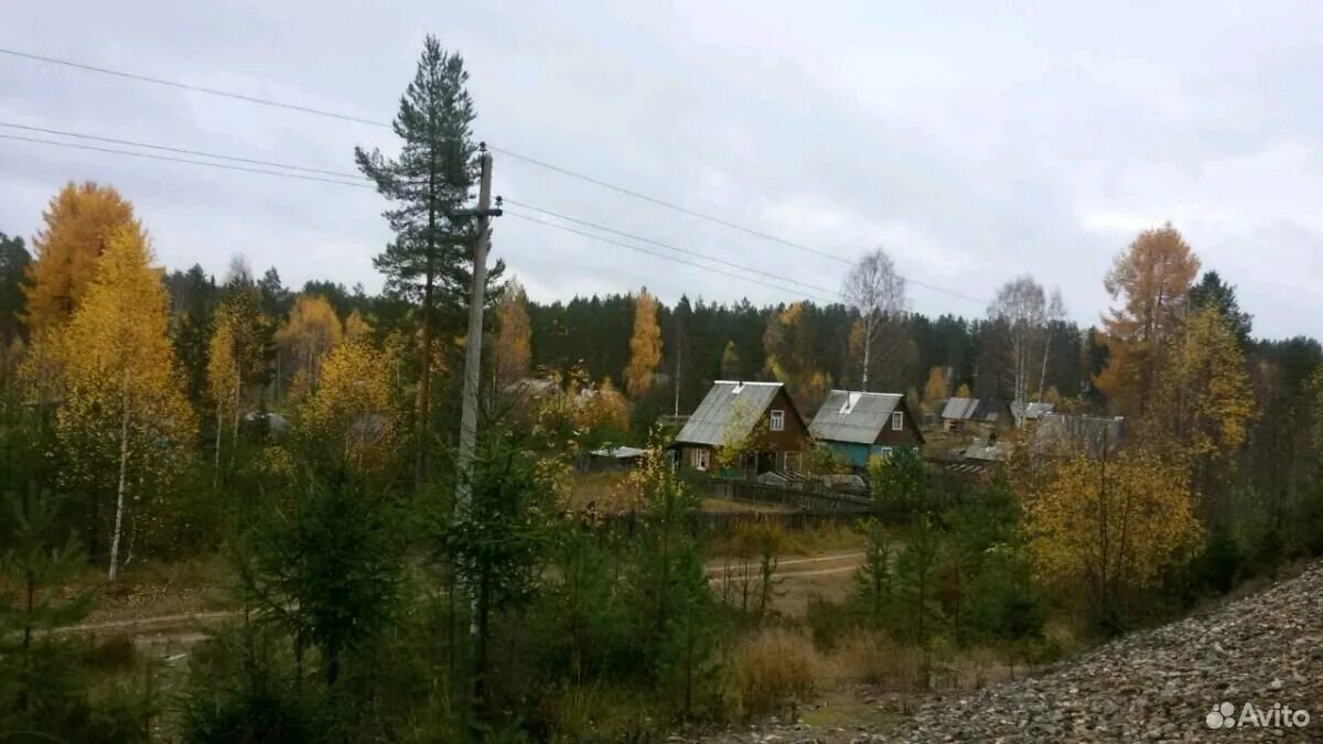 Погода в шелексе архангельской