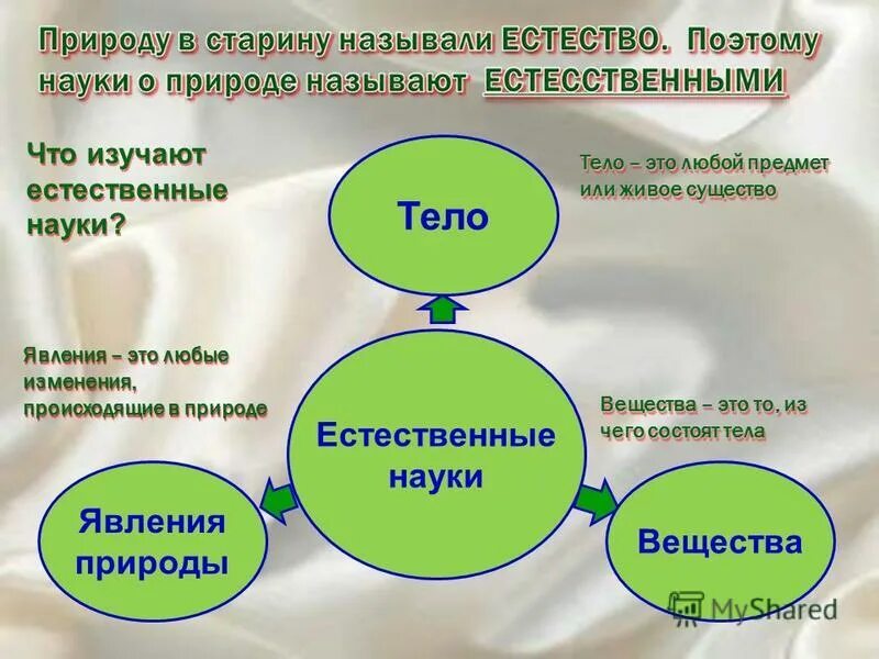 Что является предметом изучения естественных наук. Что является предметом изучения естественных наук