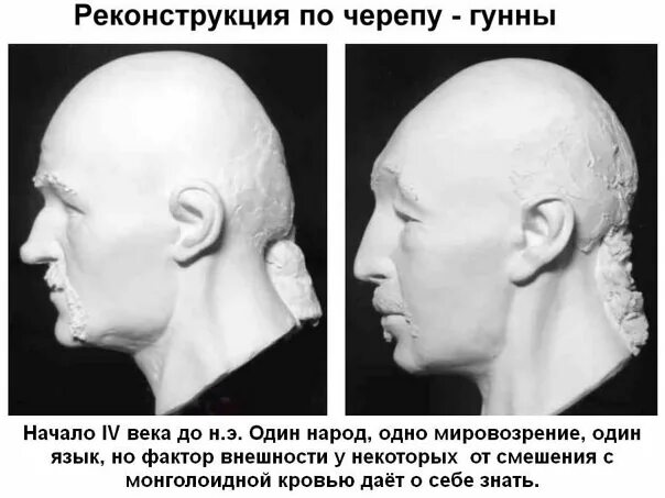 Арийская форма черепа фото и описание АНАЛИЗ ТИПОВ. ПРИЛОЖЕНИЕ. Славяне и арийский мир. Исаак Тейлор.