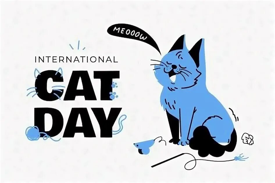 My cat all day. My cat all day