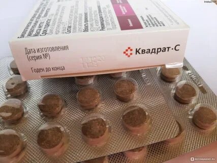 Эхинацея витаиммунит