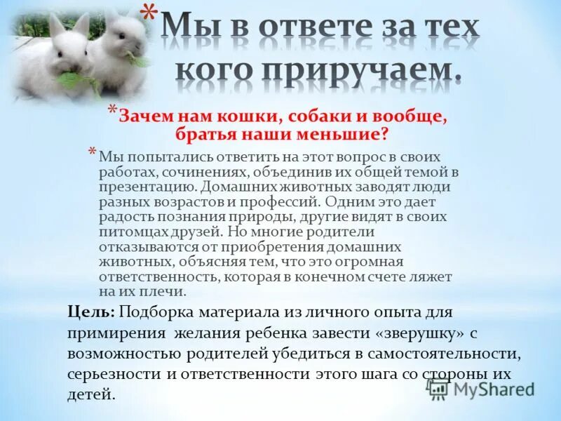 Сочинение рассуждение доброе отношение к животным