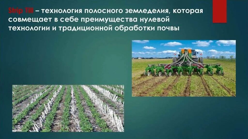 Этапы обработки полей. Технология ноу-Тилл no-till система нулевой обработки почвы. Нулевая технология обработки почвы. Современные технологии обработки почвы. Технологии земледелия.