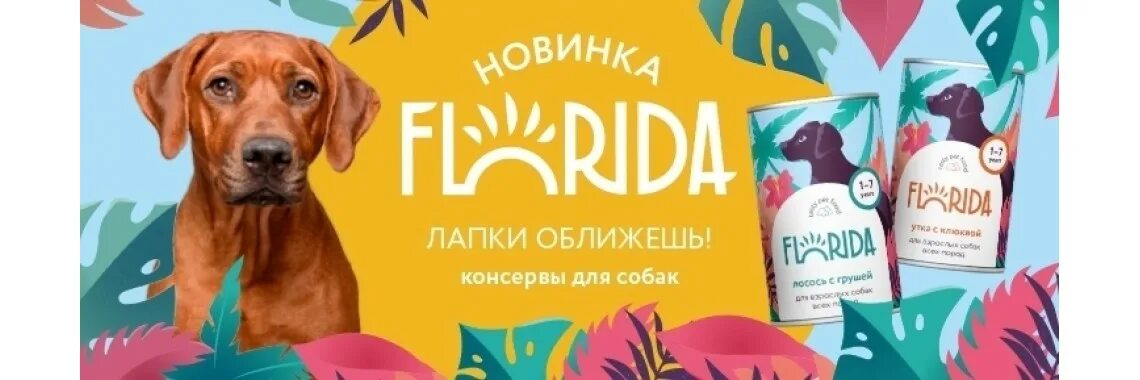 Флорида корм для собак. Флорида для собак. Пет продукт. Консервы Florida для собак производитель контакты. Купить флорида для собак