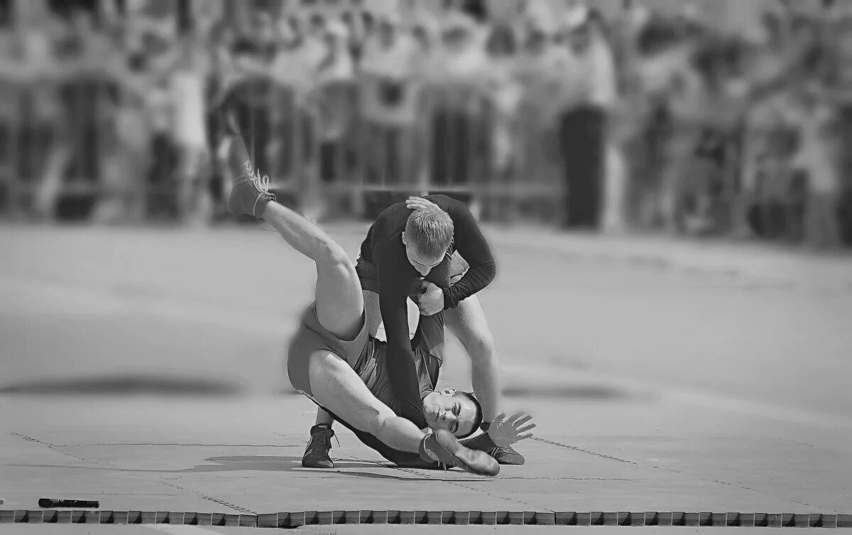 Самбо выступление. Самбо выступление. Стеганцев самбо волгоград. Самбо выступление. Боевое самбо видео с выступлений.