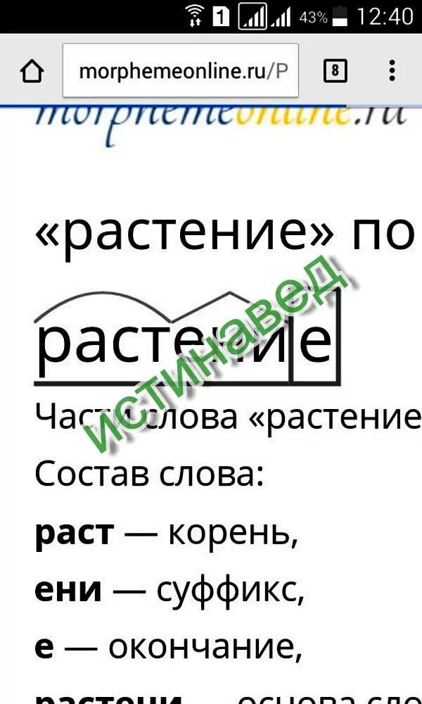 Морфологический разбор слова в траве