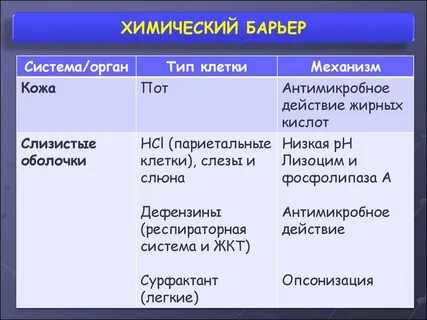 Барьеры иммунной системы