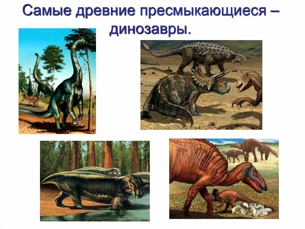 Древние пресмыкающиеся сообщение. Древние пресмыкающиеся 7 класс биология. травоядные древние пресмыкающиеся. древние пресмыкающиеся, древние рептилии. древние рептилии динозавры.