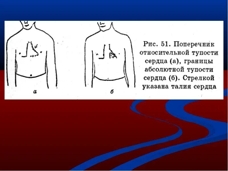 Что значит расширен поперечник сердца. Поперечник сердца перкуссия. поперечник относительной тупости сердца. поперечник сердца в норме.