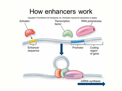 Enhancer расширение
