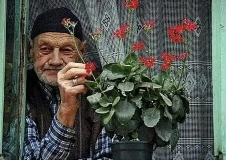 Старик в окне