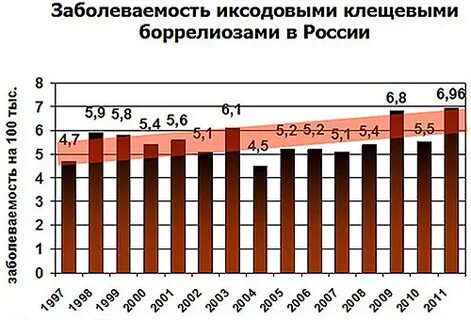 Заболеваемость в кургане