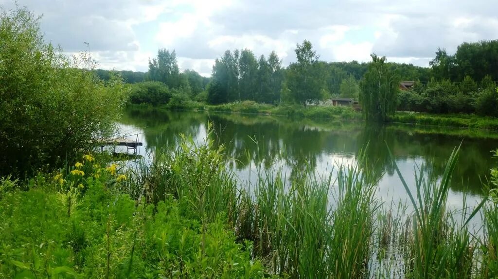 Деревня ильинское московская область домодедово. Ильинское московская область на карте домодедовский район. Деревня ильинское домодедовский район. Снт ильинское домодедовский район. Барыбино домодедовский район на карте.