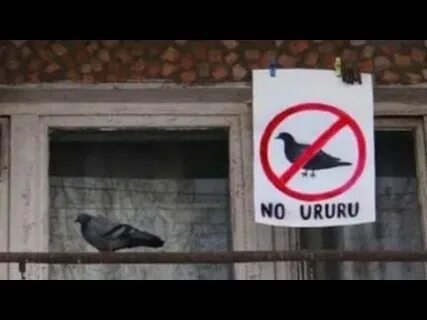 i?id=f55b05b4e03135629d4acf2373467a31fcd