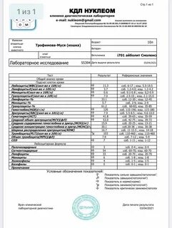Сайт кдл узнать анализы