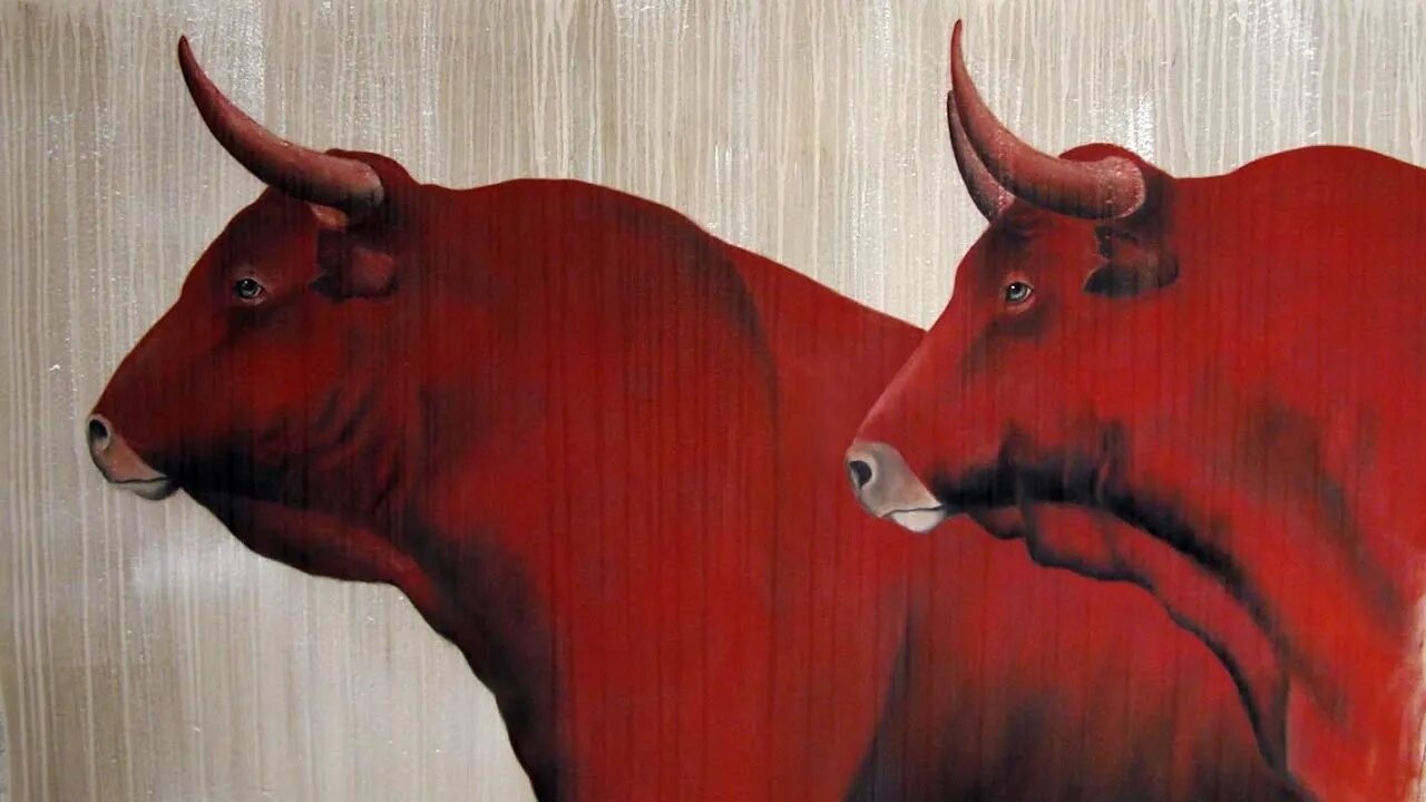 Браки мужчины быка. Красный бык. Женщина бык. Глаз быка.