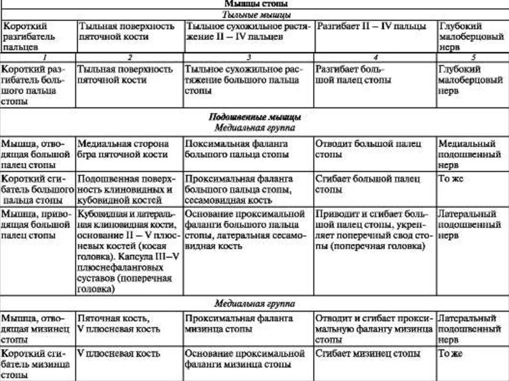 Начало прикрепление функции мышц. Мышцы пояса нижней конечности таблица. Мышцы стопы функции таблица. Мышцы нижней конечности таблица стопы. Мышцы нижних конечностей анатомия таблица.