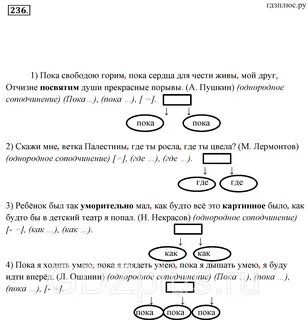 Пока свободою горим какие значения