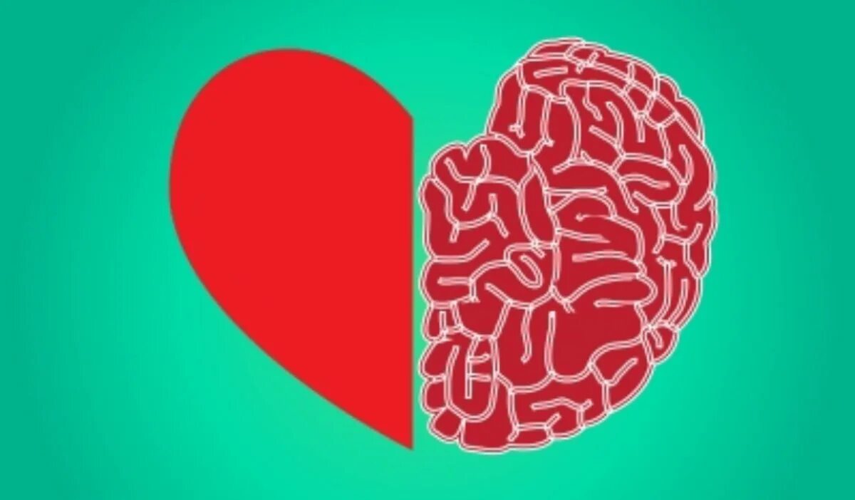 Heart and brain