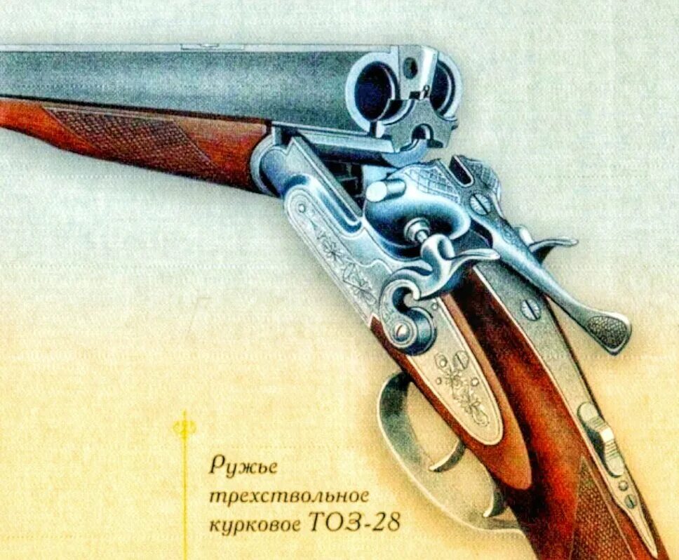 Топ 5 ружей. Ружье benelli raffaello, калибр 12. Blaser r8 custom. Иж 43. Westley richards ружье 12 калибра.