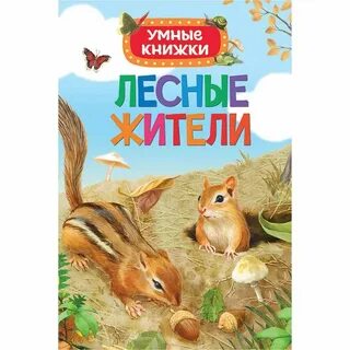 Книжка лес
