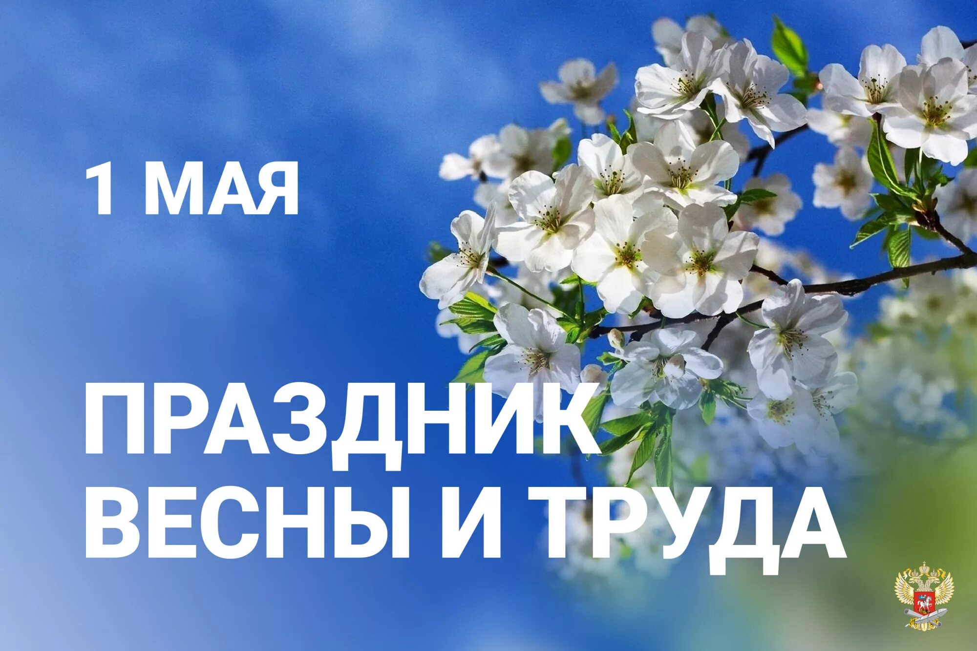 С праздником труда 1. 1 Мая праздник весны и труда. Праздник весны и трада. Поздравление с 1 мая. 1 Мая праздник.