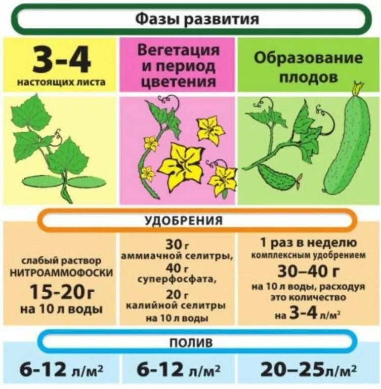 Какие удобрения по листу