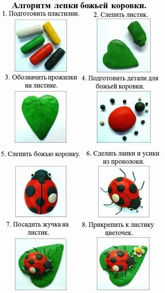 Технологическая карта пластилин. Схемы лепки насекомых в подготовительной группе. лепка божья коровка старшая группа. лепка божья коровка подготовительная группа. пластилин лепка по схеме.