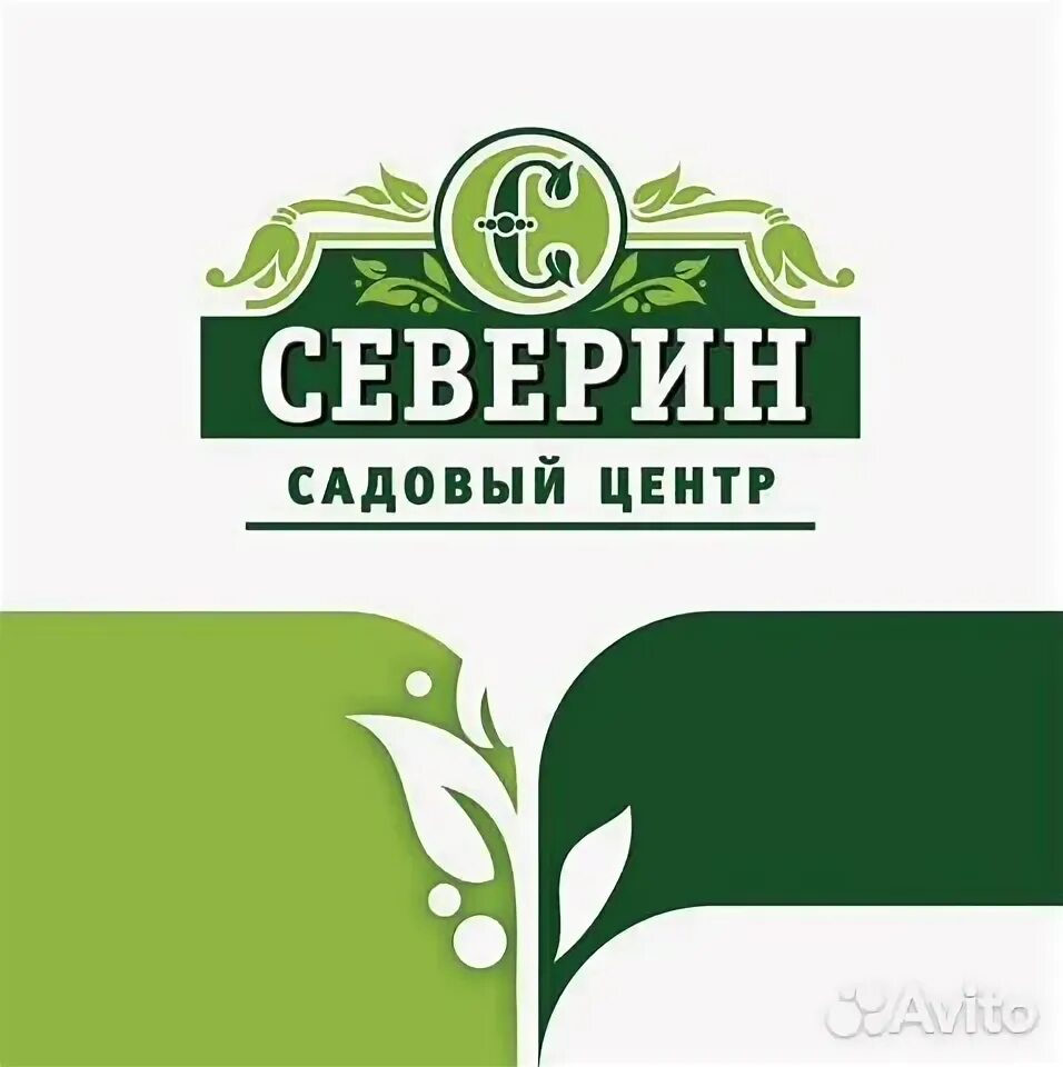 Картинка продавца садового центра. Аллея садовый центр нижний новгород каталог товаров